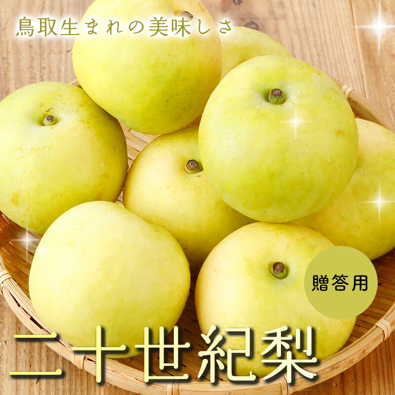 二十世紀梨 梨 鳥取 贈答向け 秀品 鳥取県産 2～10kg 6～32玉 二十世紀 なし 送料無料 フルーツ ギフト 20世紀梨 贈答用 果物 お取り寄せ 20世紀 梨 ジューシー ※ ふるさと納税 幸水 豊水 訳あり 定期便 新甘泉 南水 冷凍 ではありません SSS