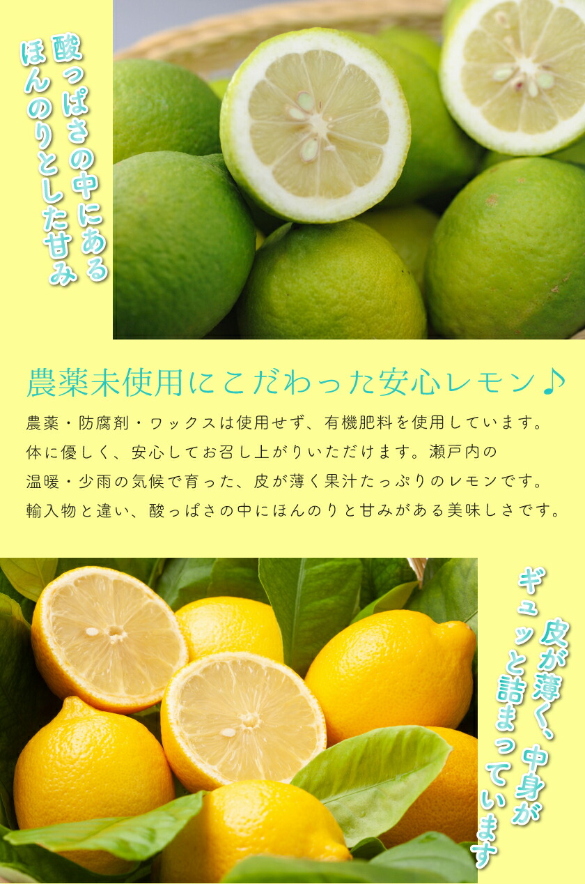 採れたて発送 瀬戸内無農薬レモン 広島県産 国産レモン１０kg 家庭用 訳あり 送料無料 最大87％オフ！