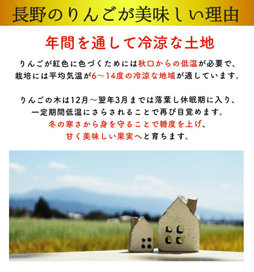 50 Off 楽天市場 21年11月出荷 減農薬 長野 シナノゴールド りんご B品 約9kg 16 50個入 リンゴ 林檎 産地直送 小山 Sss 11j はちまるはち お歳暮 母の日 安いそれに目立つ Lexusoman Com
