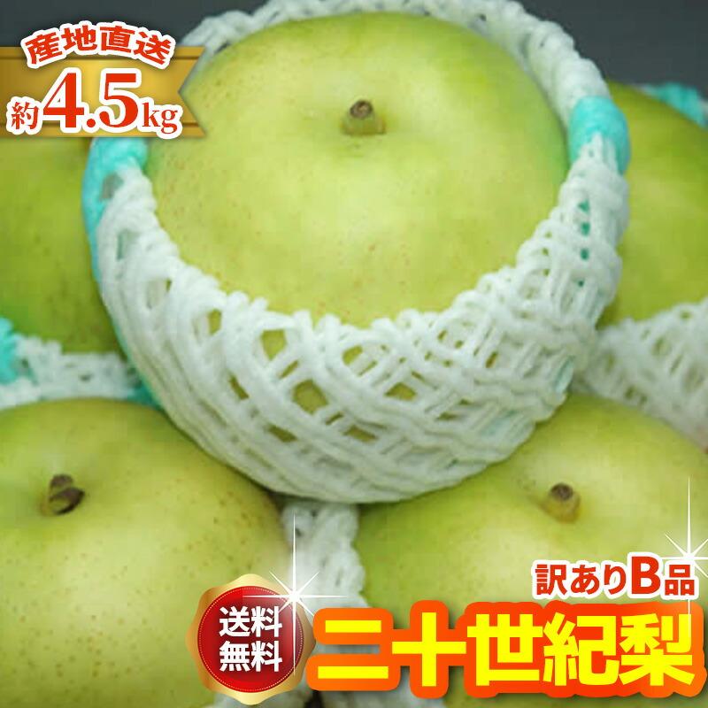 楽天市場】11月分予約 低農薬 鳥取 王秋 梨 約4.8キロ 贈答用