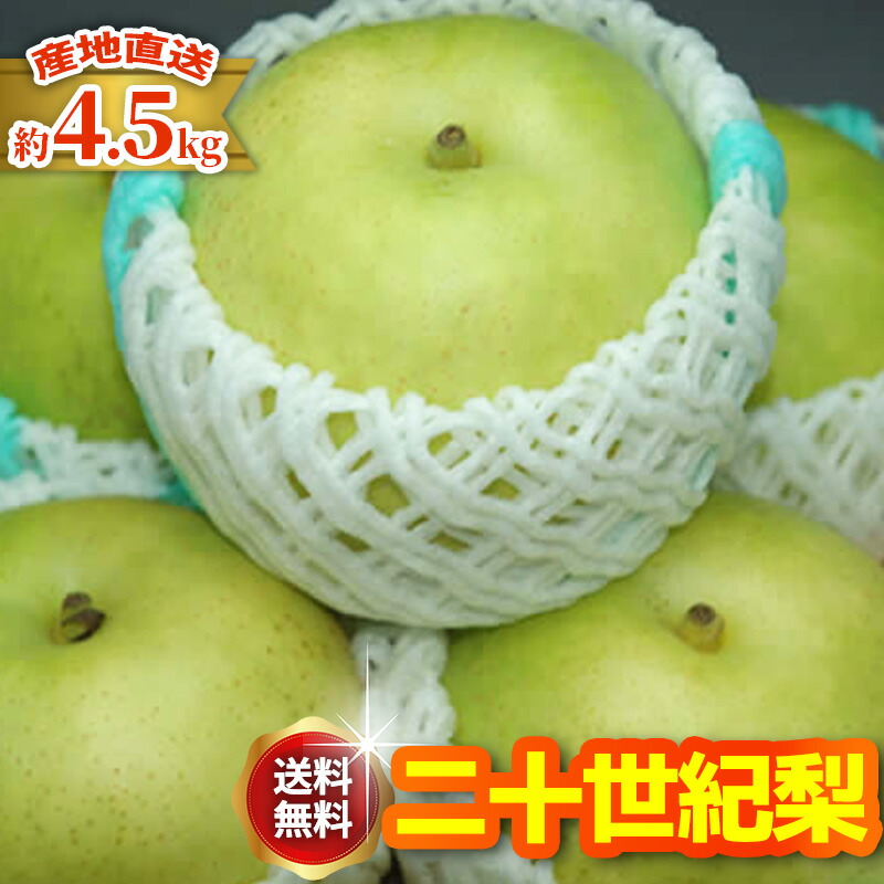 9月分予約 減農薬 長野 二十世紀 梨 約4.5～9キロ 12～30個入 贈答用 20世紀梨 20世紀 二十世紀梨 和梨 ギフト 産地直送 SSS ※ ふるさと納税 ではありません
