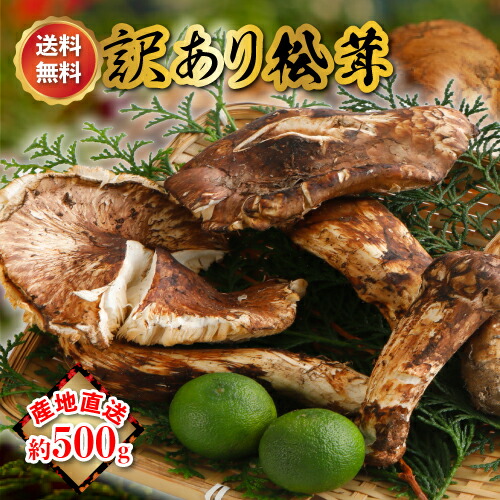 松茸　北海道　850g 訳あり　送料込　国産 okamatu-hiraki-wake-500.jpg