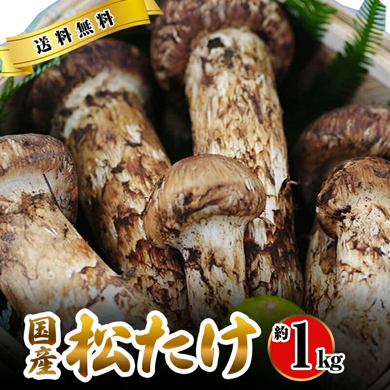 okamatu-tubo-1kg.jpg