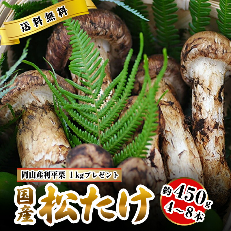 【楽天市場】松茸 国産 中つぼみ(半開き) 約230g～1kg まつたけ マツタケ 岡山 松茸 1kg 岡山県 高級 贈答 お取り寄せ きのこ キノコ  内祝い 母の日 父の日 お中元 敬老の日 お歳暮 御歳暮 SSS : はちまるはち 父の日 お中元