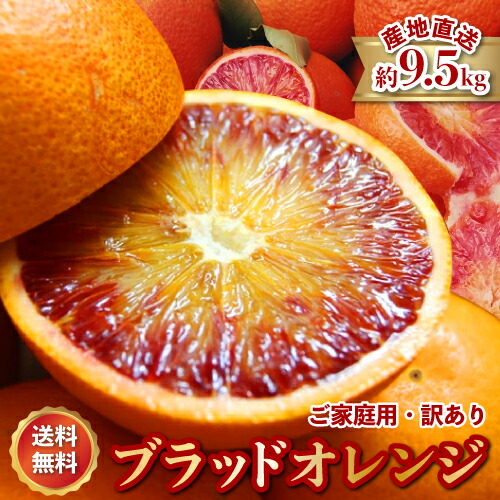 2026年3月分予約 減農薬 愛媛産 タロッコ ブラッドオレンジ 約9.5kg 訳あり ワックス不使用 サイズ混合 産地直送 10kg ブラッド オレンジ 愛媛 国産 果物 ※ ふるさと納税 ではありません
