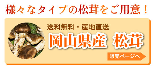 国産 松茸 中つぼみ(半開き) マツタケ 岡山 SSS まつたけ 利平栗1kg