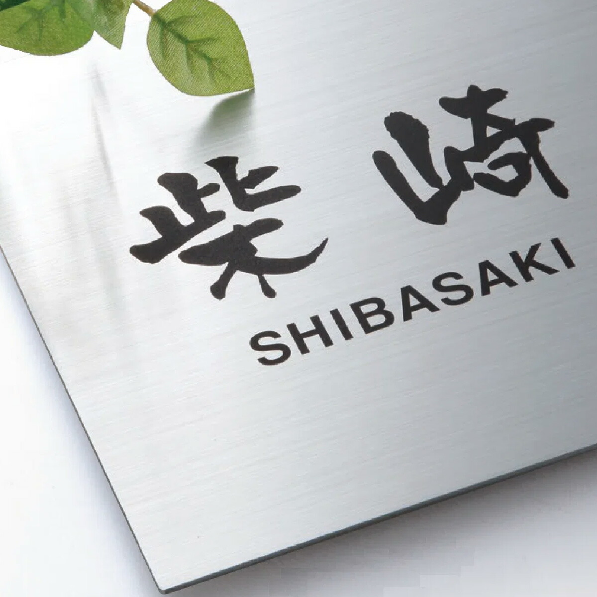 福彫 看板 ステンレス鋼 戸建 おすすめ 冷やりとした 今めかしい 分かりやすい 福彫 【STAINLESS ステンレスドライエッチング】今めかしい 名まえ 一皿 購入注文お手伝いさん