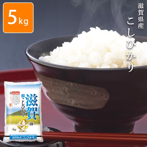 令和6年 新米 お米 5kg 滋賀県こしひかり 滋賀県産 白米 安い 【メーカー直送商品】【平日11時までのご注文で3営業日以内に発送】