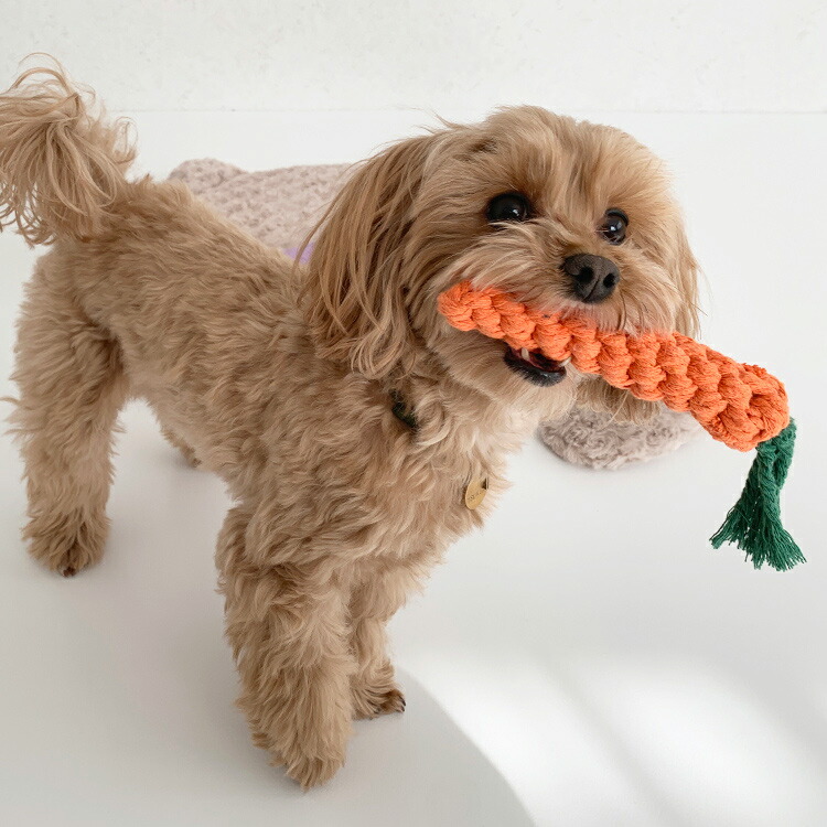 市場 犬 野菜 歯 歯磨き 玩具 おもしろ 中型犬 ぬいぐるみ おもちゃ ロープ 噛む 小型犬 TOY ペット用 インスタ映え オモチャ 果物 かわいい