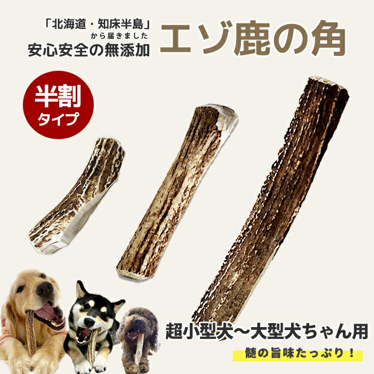 エゾシカ　鹿の角　工作　犬のおやつ Amazon.co.jp: 北海道産 天然のエゾ鹿角 小型犬用2本 デンタル