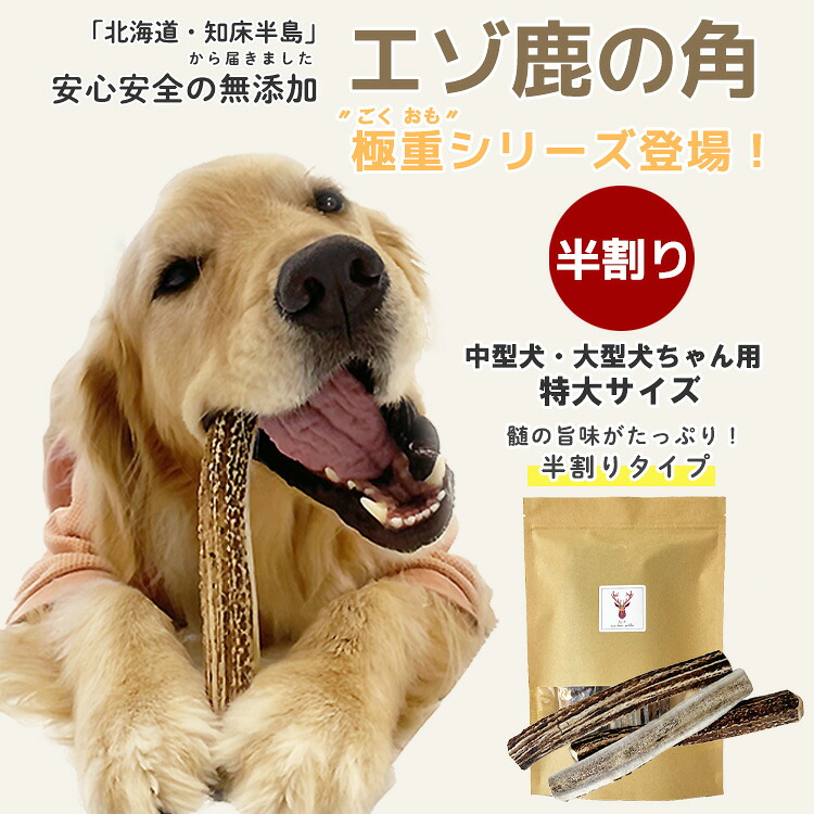 鹿の角 犬 ＼極太シリーズ登場！／【まとめ買いがお得！】中型犬～大型犬 約20cm～約22cm （半割り）国産 北海道 無添加 エゾ鹿の角 鹿角 ガム 硬い 長持ち 噛むおもちゃ ストレス発散 口臭ケア 犬のおもちゃ 噛む おやつ 【ペット栄養管理士 / 愛犬飼育管理士 監修】