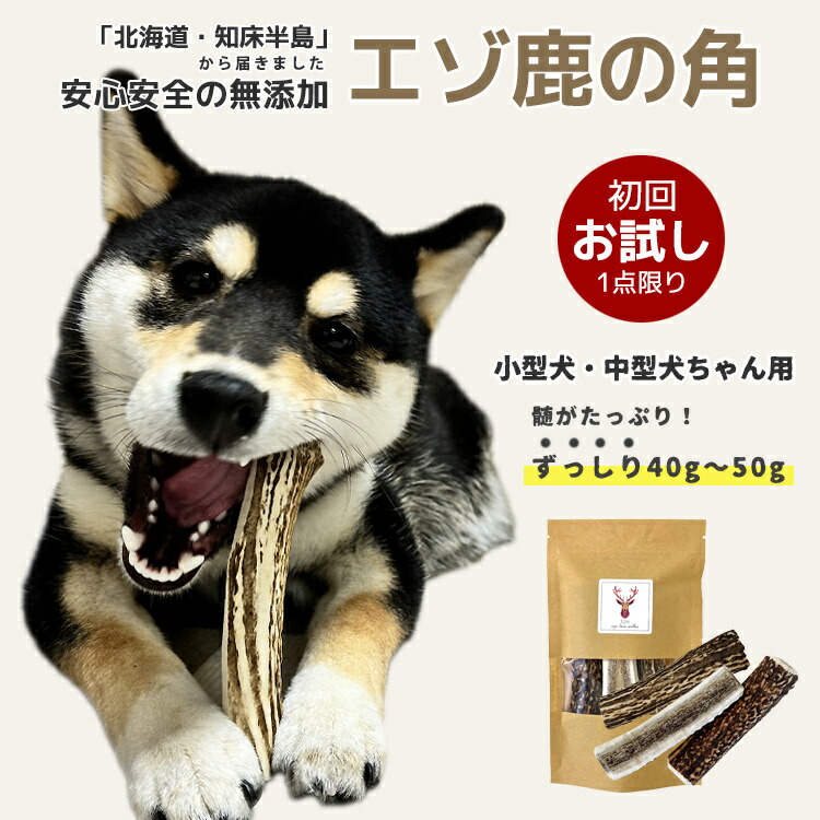 【楽天市場】鹿の角 犬【まとめ買いがお得！】小型犬～中型犬 11cm～13cm ずっしり！40g～50g（半割り）ガム 無添加 国産 北海道 エゾ鹿の角  硬い 長持ち 噛むおもちゃ 低脂肪 低カロリー ストレス解消 口臭ケア 犬のおもちゃ 噛む おやつ 角ガム 【愛犬飼育