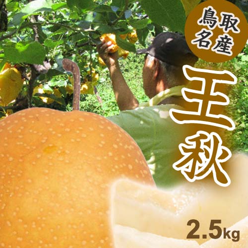 【(2025年11月中旬発送)先行予約】王秋 なし 梨 鳥取県 2.5kg 4～6玉 フルーツ ギフト 自宅用 誕生日 贈答用 贈り物 果物 ジューシー うまい 新鮮 鮮度 酸味 甘さ控えめ みずみずしい おうしゅう 【数量限定】