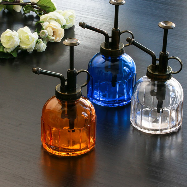 ぜいたく多肉 植物 霧吹き すべての美しい花の画像