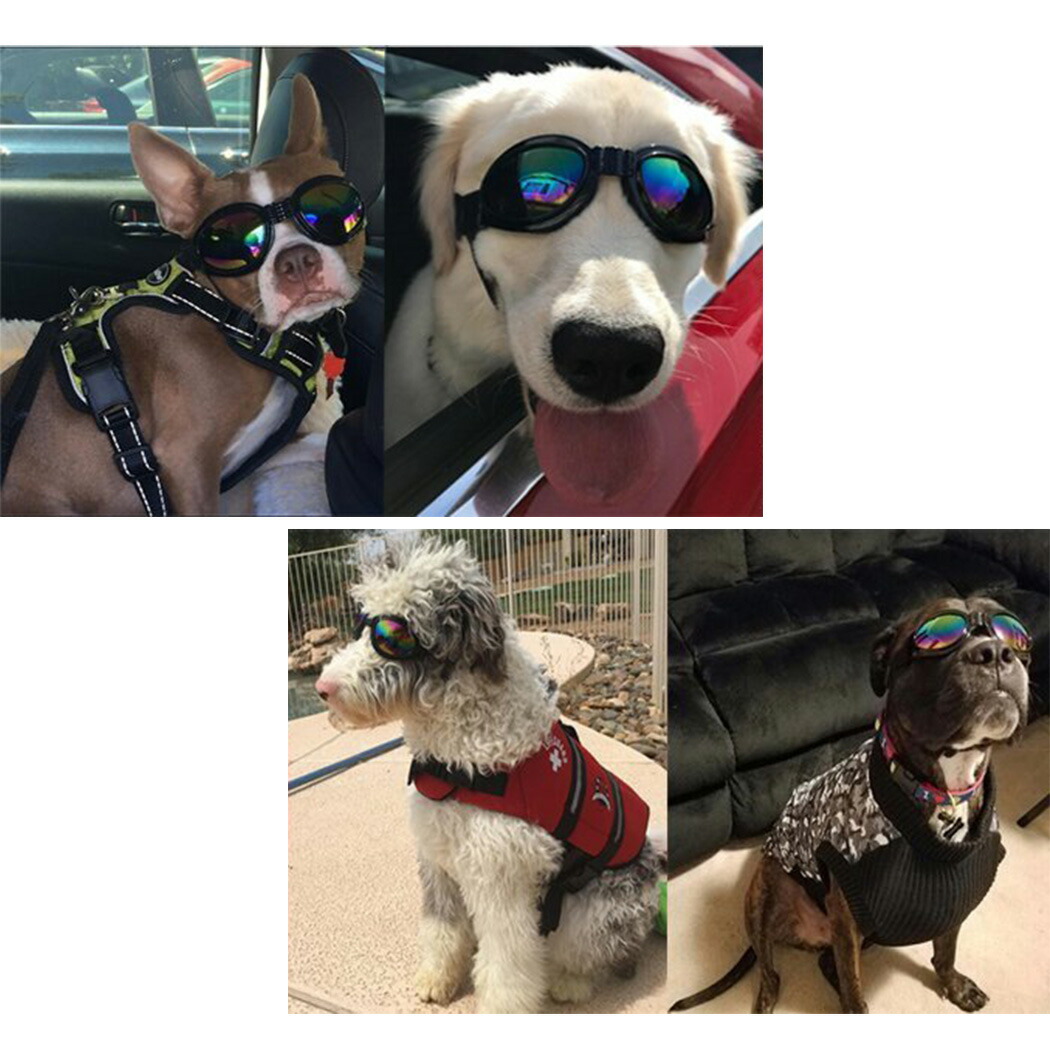 市場 ペット アクセサリー おしゃれ かっこいい メガネ サングラス ペット用ゴーグル ドッグウェア 黒 守る かわいい 犬 ゴーグル 目 眼鏡 保護