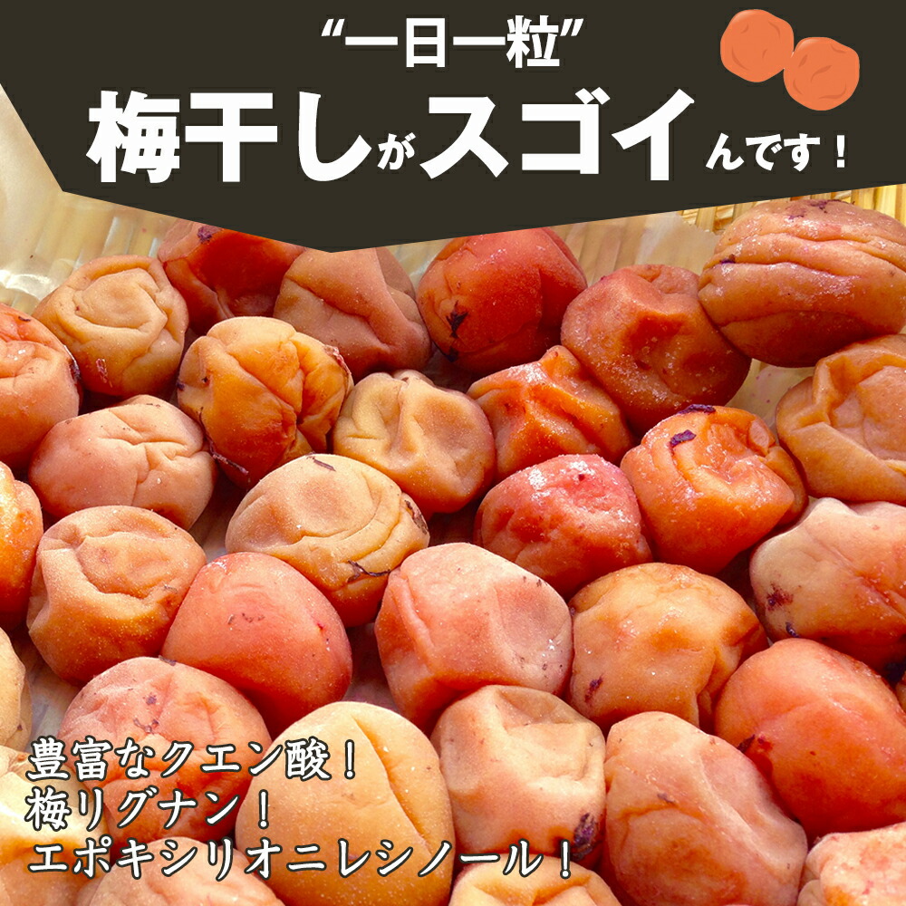 梅干し はちみつ 2パック Big おすすめ品 しそ ポイント消化 南高梅 南高梅干し 大容量 昔ながら 梅 紀州 送料無料 選べる 22年のクリスマスの特別な衣装 しそ