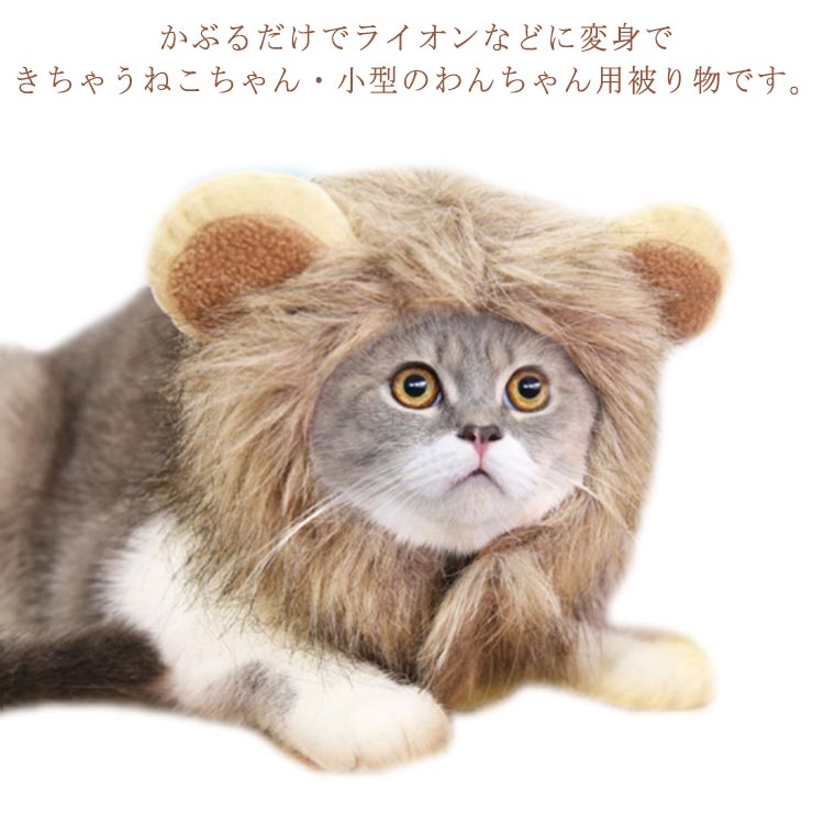 楽天市場】送料無料 ライオン 猫 被り物 ねこ かぶりもの 着ぐるみ