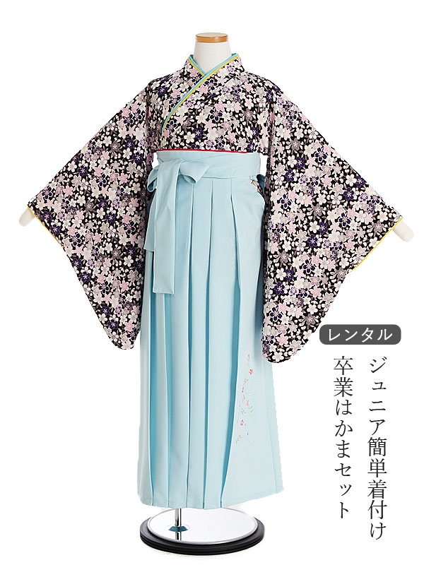 New 簡単着付け 卒業袴 黒地 水色袴 日本製ちりめん 12歳前後 160cm 女児袴レンタル 女の子 桜づくし 150cm 袴セット 卒業式