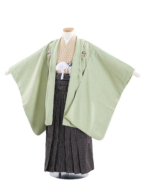 留袖御召しもの｜新作入荷の貼り出し
