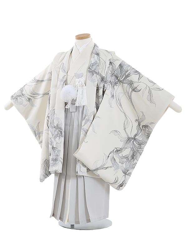 留袖御召しもの｜新作入荷の貼り出し