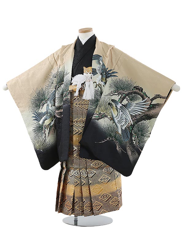 留袖御召しもの｜新作入荷の貼り出し