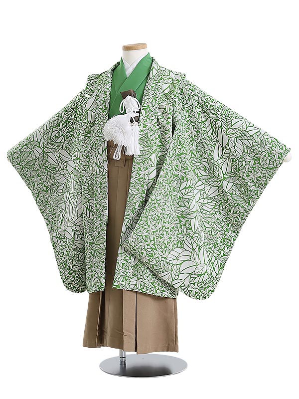 留袖御召しもの｜新作入荷の貼り出し
