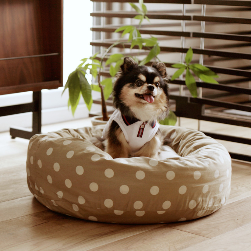 楽天市場 犬 ベッド コーデュロイ スクエア ベッド S サイズ犬 猫ベッド ペット用ベッド Bed 洗える リネン ふかふか 国産 Free Stitch