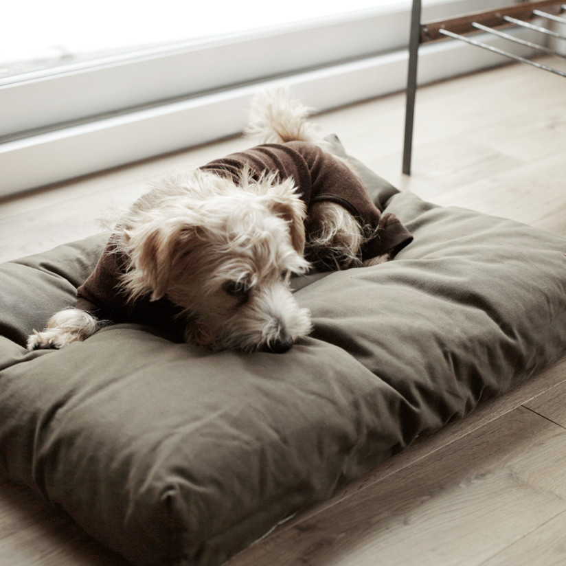 【楽天市場】【犬 ベッド】ウォッシャブル リネン ベッド M サイズ 犬用フリーステッチ おしゃれ マット 洗える