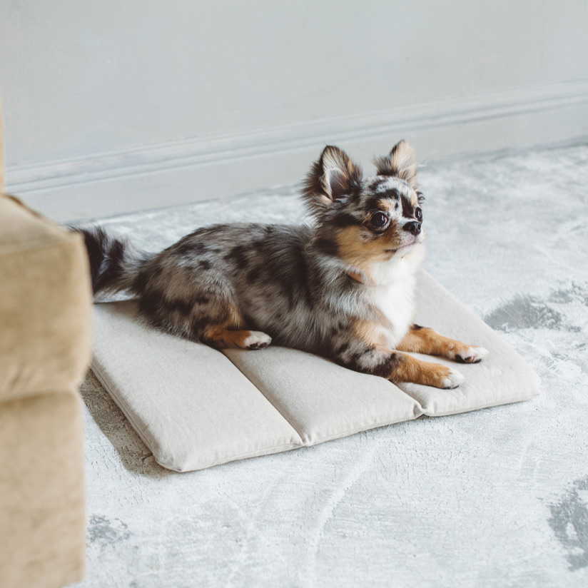 【楽天市場】【犬 ベッド】犬用 いぬ ドッグ dog シンプル おしゃれ 日本 ペット用 ペット ベッド マット 洗える 洗濯 ふかふか