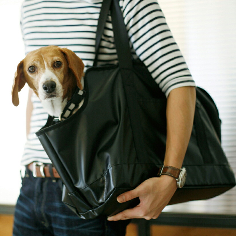 freestitch Rakuten Global Market Dog carry bag dog carry bag スクエアトートターポリン L size free stitch