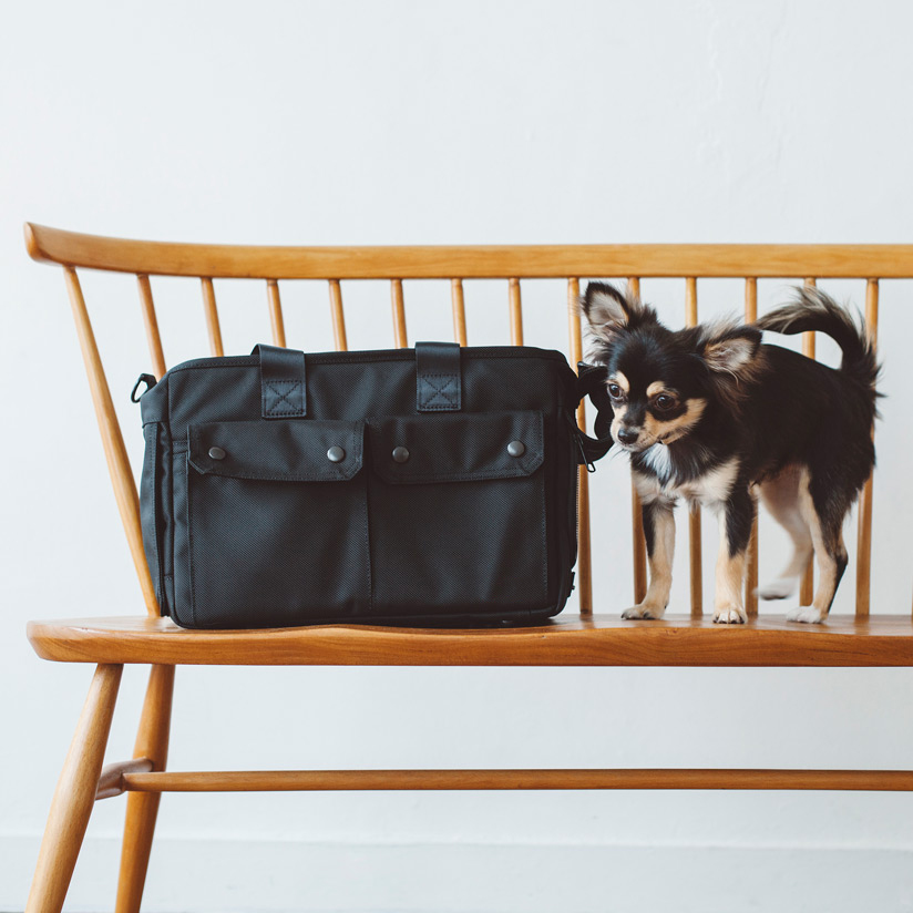 犬 キャリー バルコディ キャリー S サイズペット キャリー キャリーケース キャリーバッグ ケージ クレート ペット 防災 ゲージ 犬用 小型犬 おしゃれ ドッグ シンプル 日本製 災害 Hostalbuenosaires Cat