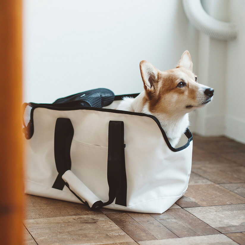 Dog Carry Bag スクエアトートターポリン L Size Free Sch Medium