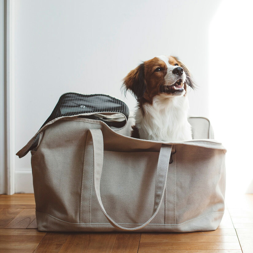 スクエア トート いぬ バッグ かばん 犬用バッグ Llサイズ中型犬 Dog 犬 リネン ドッグ ソリッド キャリー スクエア トート いぬ バッグ かばん 犬用バッグ Llサイズ中型犬 Dog 犬 リネン ドッグ ソリッド キャリー