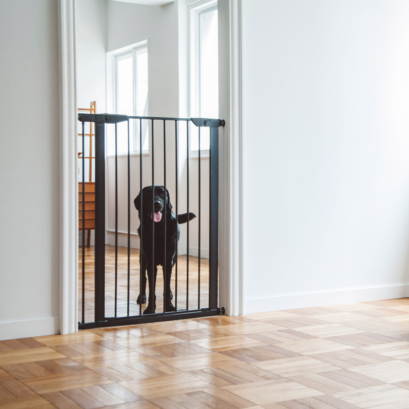 犬用ゲートおすすめ7選 おしゃれな室内用 脱走防止に マイナビおすすめナビ