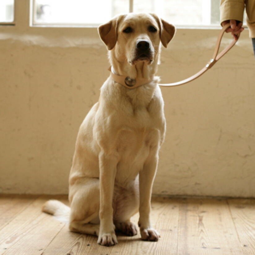 【犬首輪】オリジナルヌメコンチョカラー3Lサイズ大型犬犬首輪犬の首輪大型犬革革製皮本革レザーおしゃれかわいい