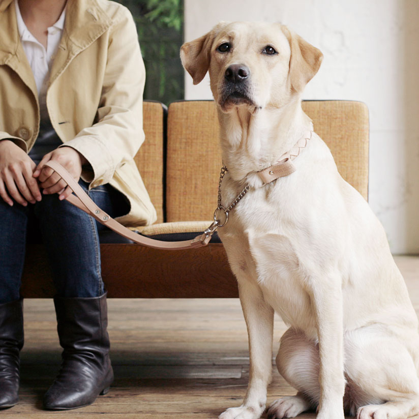 楽天市場 犬 リード 革 オリジナル ヌメ ショート リ ド 大型犬犬用リード 犬のリード お出かけ お散歩グッズ おでかけグッズ 犬用品 ペット ペットグッズ ペット用品 リ ド Free Stitch