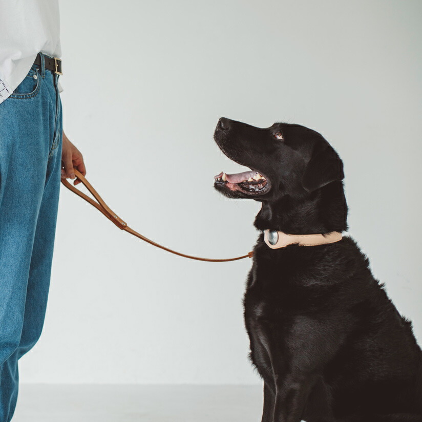 【犬首輪】オリジナルヌメコンチョカラー3Lサイズ大型犬犬首輪犬の首輪大型犬革革製皮本革レザーおしゃれかわいい