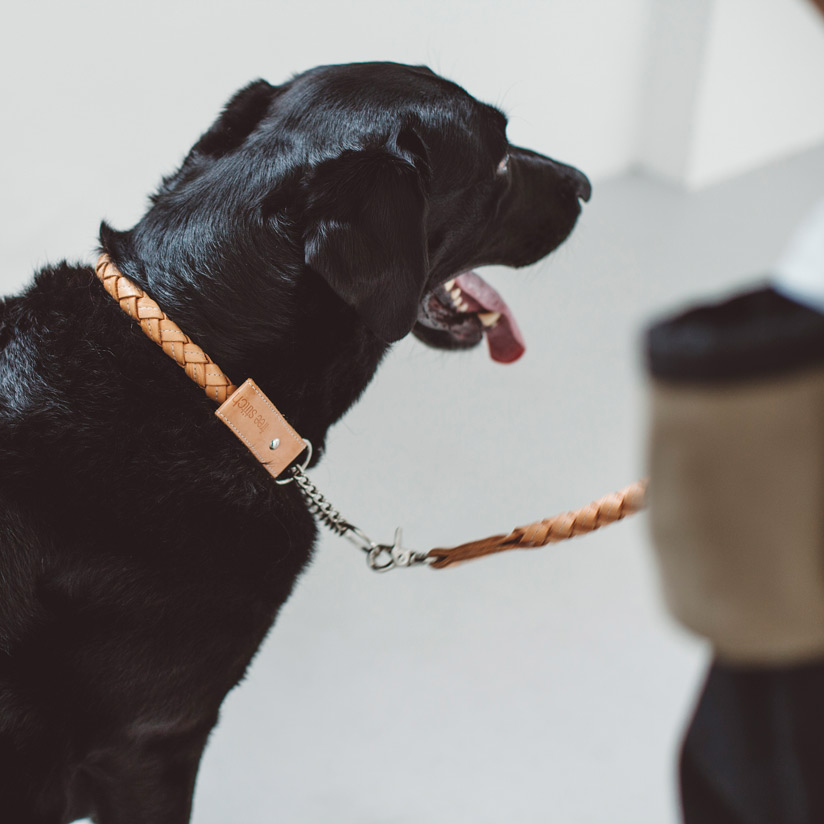 【犬 首飾り】目あたらしい ヌメ ウーブン 二分の一車輪止め 3L 大きさ犬の首飾り 犬首飾り 大型犬用 革 秘密捜査員 くびわ