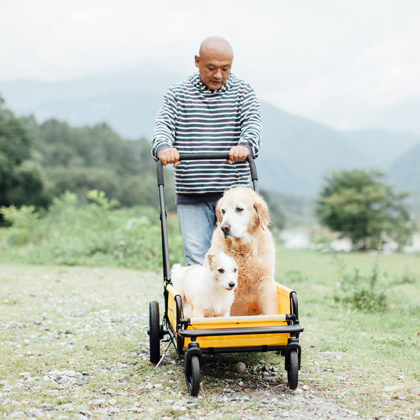 エアバギーフォードッグ キャリッジ　ボディ(キャリッジ)単体 Airbuggy for dog Carriage エアバギー 犬 カート 大型