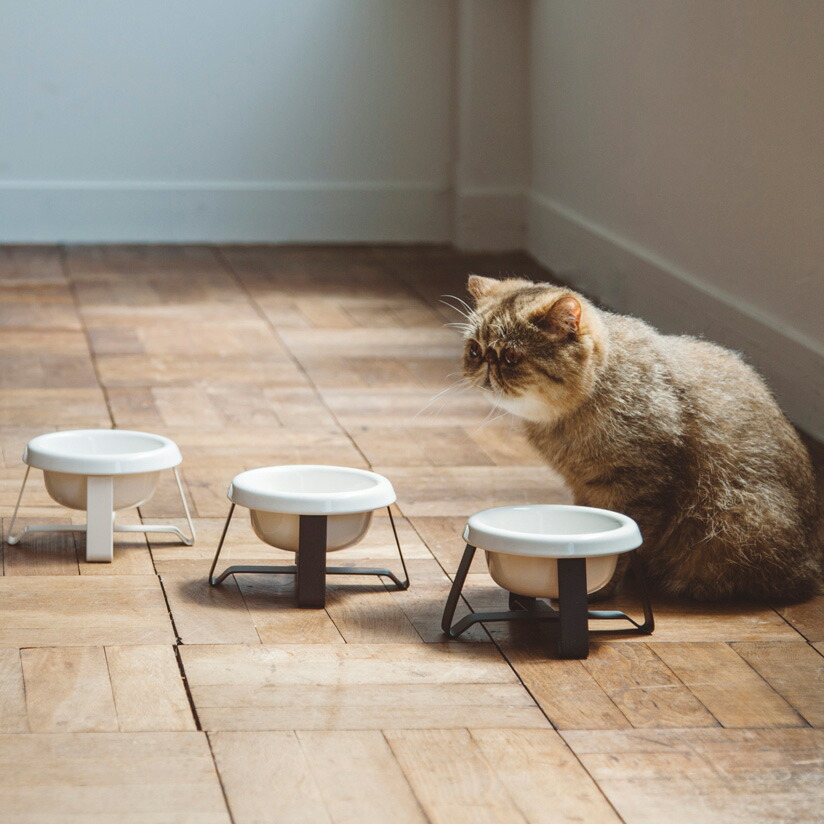 楽天市場】pecolo ZEN PET DINER フードボウルスタンド 猫 フード