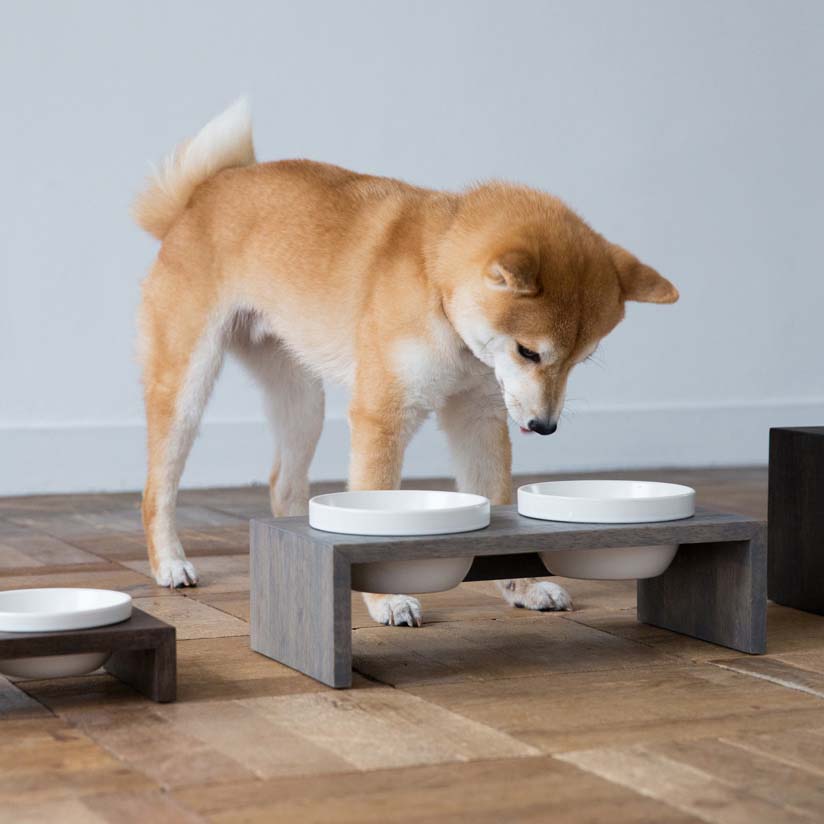 MESHIDAI GOHAN S ダブル　REPLUS リプラス　メシダイ　ゴハン　犬　ドッグ　フードボウル　foodbowl　dog　おしゃれ　陶器　木製