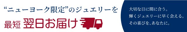 楽天市場 ニューヨークから届く 指輪 レディース プラチナ 加工 パヴェ エタニティリング 婚約指輪 エンゲージリング プロポーズ 結婚指輪 誕生日 プレゼント 結婚記念日 女性 彼女 妻 嫁 ブランド 人気 金属アレルギー ホワイトデー お返し ニューヨークからの贈り物