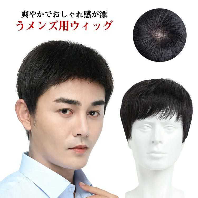 メンズ ウィッグ 男性用 かつら 100%人毛 黑色 楽天市場】ショート 人毛100％ メンズ フルウィッグ 自然 黒髪 かつら