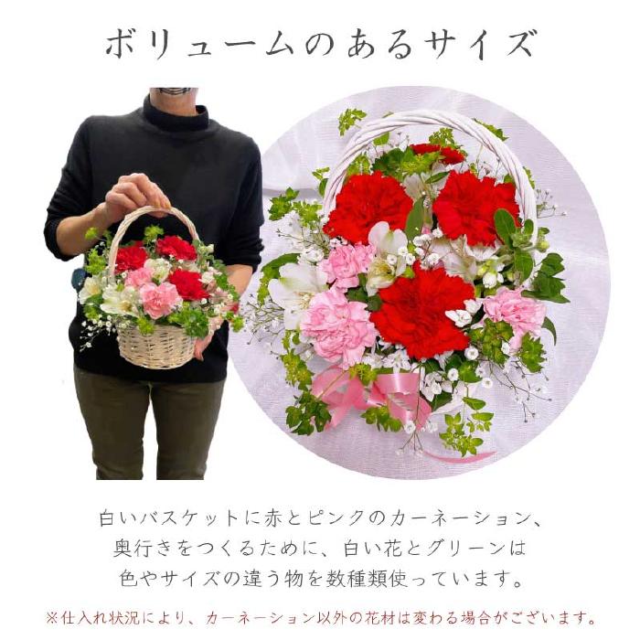 楽天市場 カーネーション 花かご 母の日 誕生日 プレゼント ギフト 花 ギフト 電報 結婚式 結婚祝い 結婚記念日 退職祝い 出産祝い おまかせアレンジメント 敬老の日 ギフト 開店 オープン 結婚記念日 お祝い フラワー Fun Daily