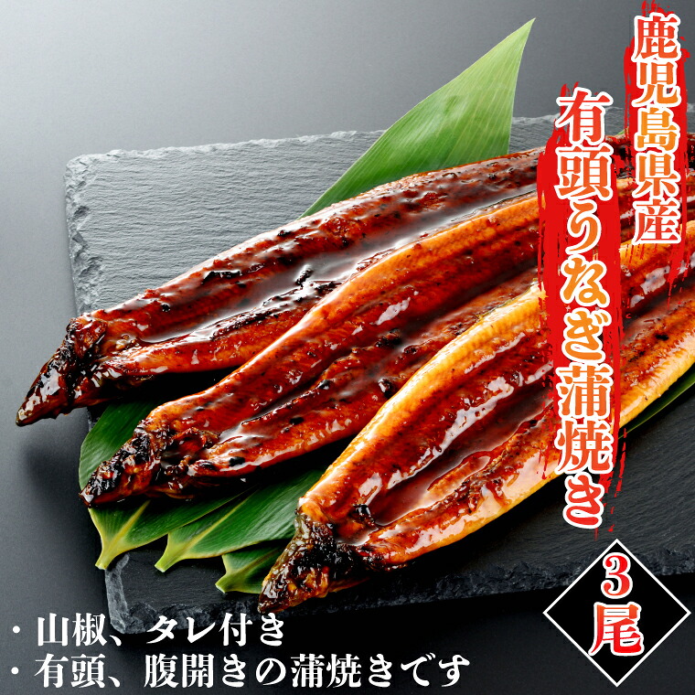 【送料無料】食べ応え抜群！鹿児島県産 国産うなぎ 蒲焼き 200g&times;3尾 山椒・たれ付き 　有頭鰻　 土用の丑の日｜株式会社plan　店