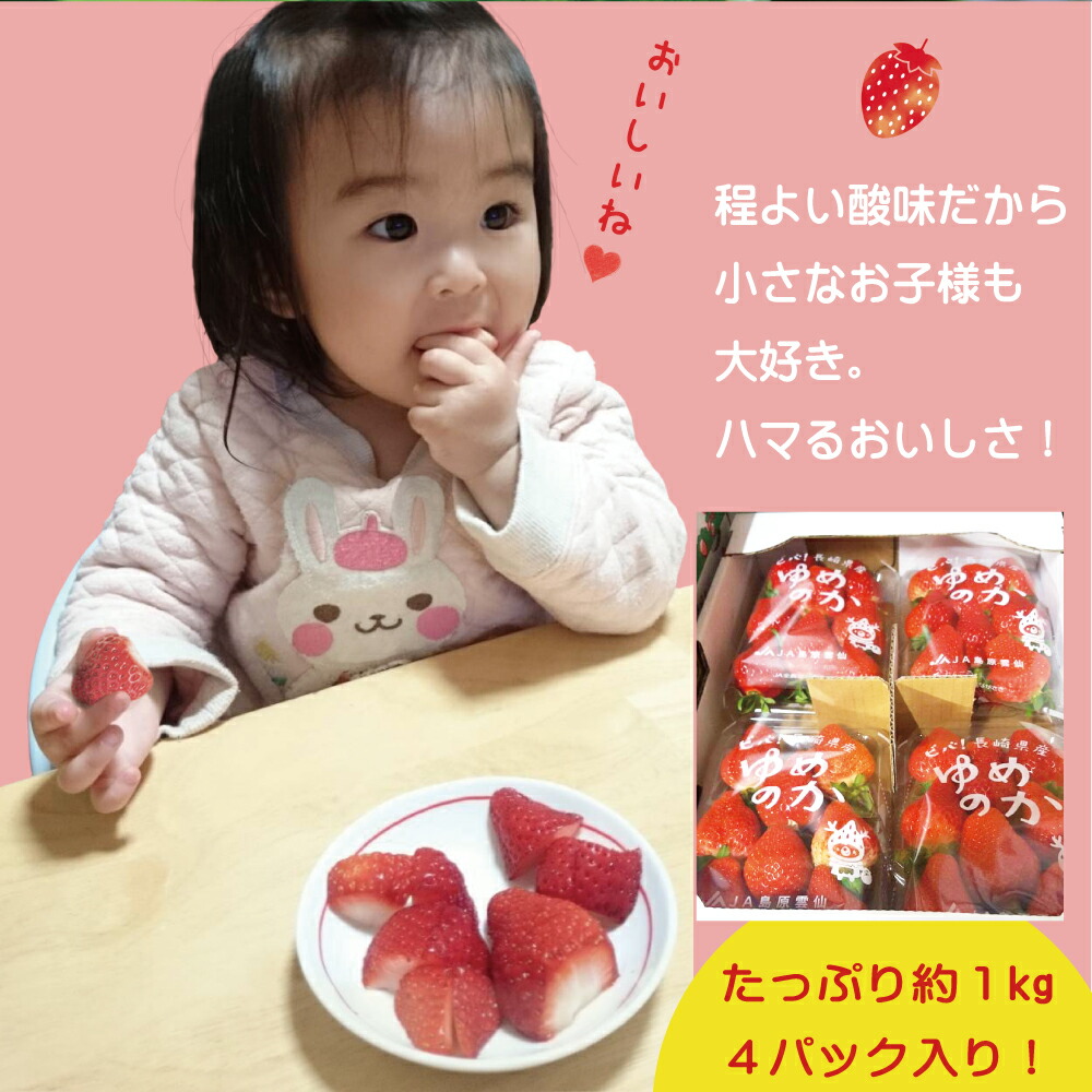 楽天市場 送料無料 早割 イチゴ いちご ストロベリー 苺 甘い ゆめのか 誕生日 ケーキ 用いちご お菓子用 イチゴ 生食 果物 長崎県 島原 産地直送 Furusato