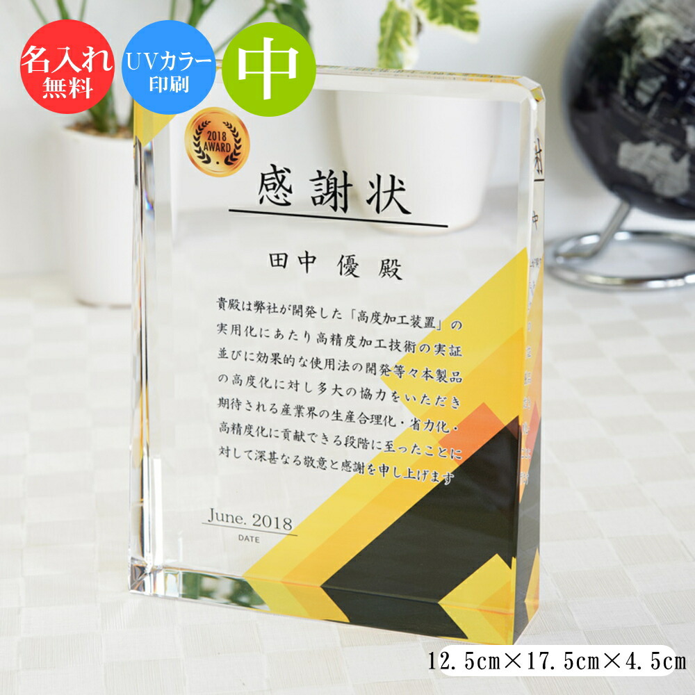 ガラス 表彰盾 (中) クリスタル ガラス 盾 トロフィー 記念品 景品 表彰品 認定証 感謝状 周年記念 創立記念 社内表彰 退職祝い 認定証 卒業記念品 優勝 表彰 卒業 感謝状 表彰状 スポーツ大会 コンペ ゴルフコンペ スポーツ イベント おしゃれ ガラス製 ブロンズ dp-17-b