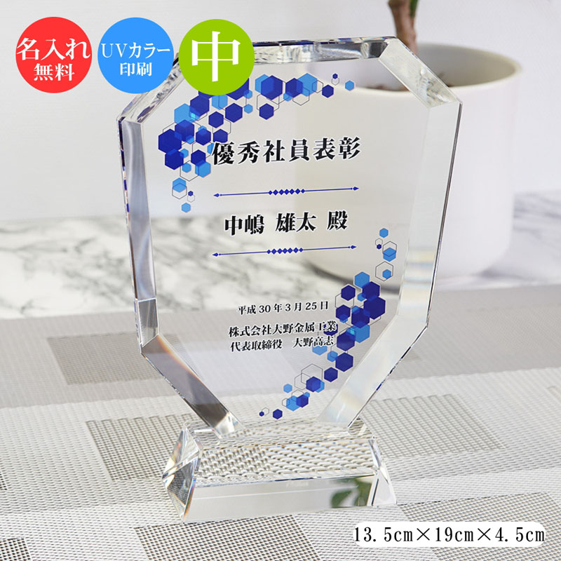 ガラス 表彰盾 (中) クリスタル ガラス 盾 トロフィー 記念品 景品 表彰品 認定証 感謝状 周年記念 創立記念 社内表彰 退職祝い 認定証 卒業記念品 優勝 表彰 卒業 感謝状 表彰状 スポーツ大会 コンペ ゴルフコンペ スポーツ イベント おしゃれ ガラス製 ブロンズ dp-2-b｜快適生活百貨店