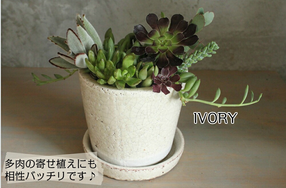 カラーグレイズド ポット ダルトン Dulton Color Grazed Pot Turquoise 陶器鉢 底穴あり ポット Color Glazed Pot Turquoise Pot 鉢カバー 多肉植物 アイボリー ターコイズ ミッドナイトブルー イエロー ライムグリーン 送料無料 Marcsdesign Com