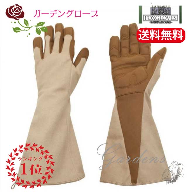 【UNDERCOVER】ブラウン ゴールド ベルベット ロンググローブ　美品 楽天市場】園芸用レザーグローブ JAYCO Gold Leaf ロング